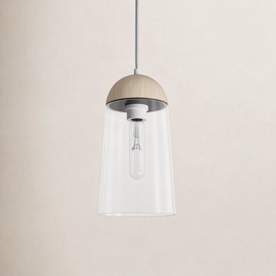 Tabitha Single Light Clear Glass Dimmable Pendant