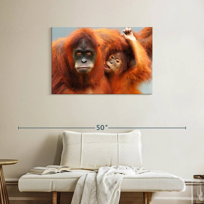 Sumatra Orangutans