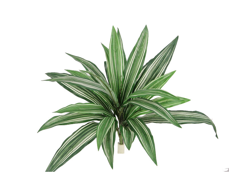 Plante artificielle 15 po Dracaena