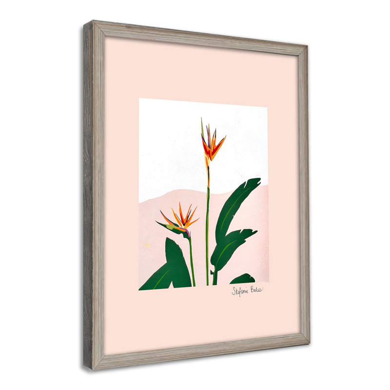 Nature Inspired Birds of Paradise II - Graphic Art Wall Art by , Framed Matted Print, Gray, 48" H x 32" W x 1.125" D