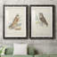 Hawk Owl Premium encadré mat - prêt à être accroché-1071751162-1071751109