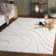 Florda Shag Area Rug