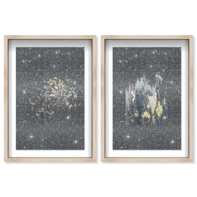 Midnight Flora Set Framed Graphic Art