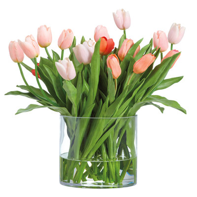 24 Inchh Mix French Tulips Cut In