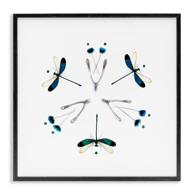 Giclée encadrée de simple libellule Symmetry, design par Beth Adoette