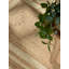 Hanse Home Jute Rug Jutta Robust & Durable, Natural Rug with Border for Living room, Bedroom, Dining room, Bedroom, Hallway