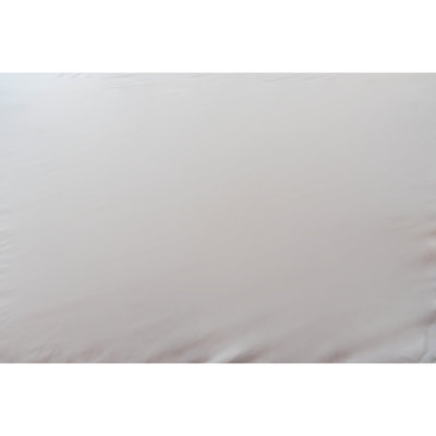 Encased Polyester Hypoallergenic Mattress Protector
