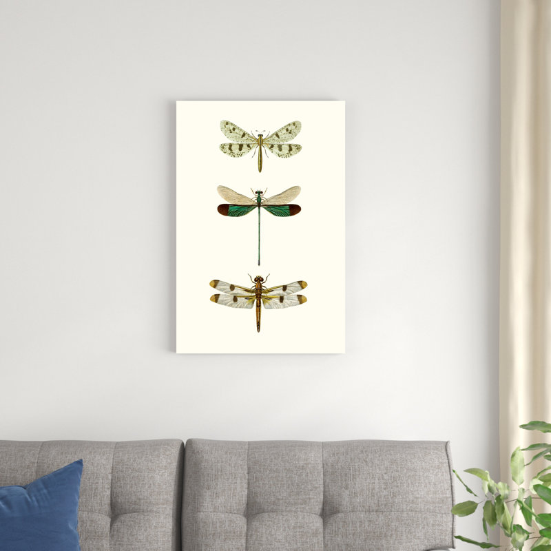 «Entomology Series VII», peinture sur toile, H 30 po x l 20 po
