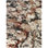 Tapis taupe Audet