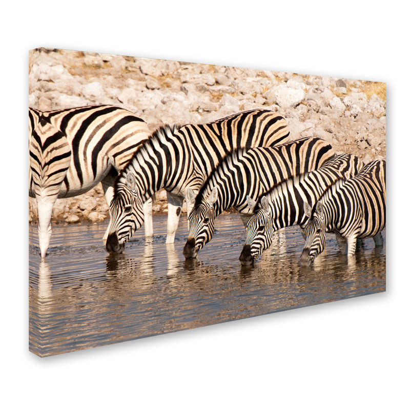 Ann «Zebras 1», reproduction de photo sur toile tendue, H 12 po x l 19 po