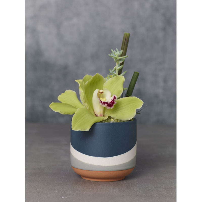 Tami Ceramic Pot Planter
