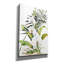 «Botanical Phalaenopsis» par Kathleen Parr, art mural sur toile-90478746