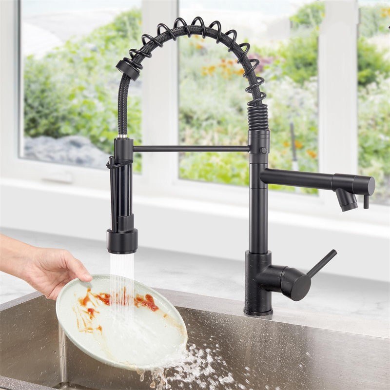 Ivy Bronx Derean Kitchen Faucet