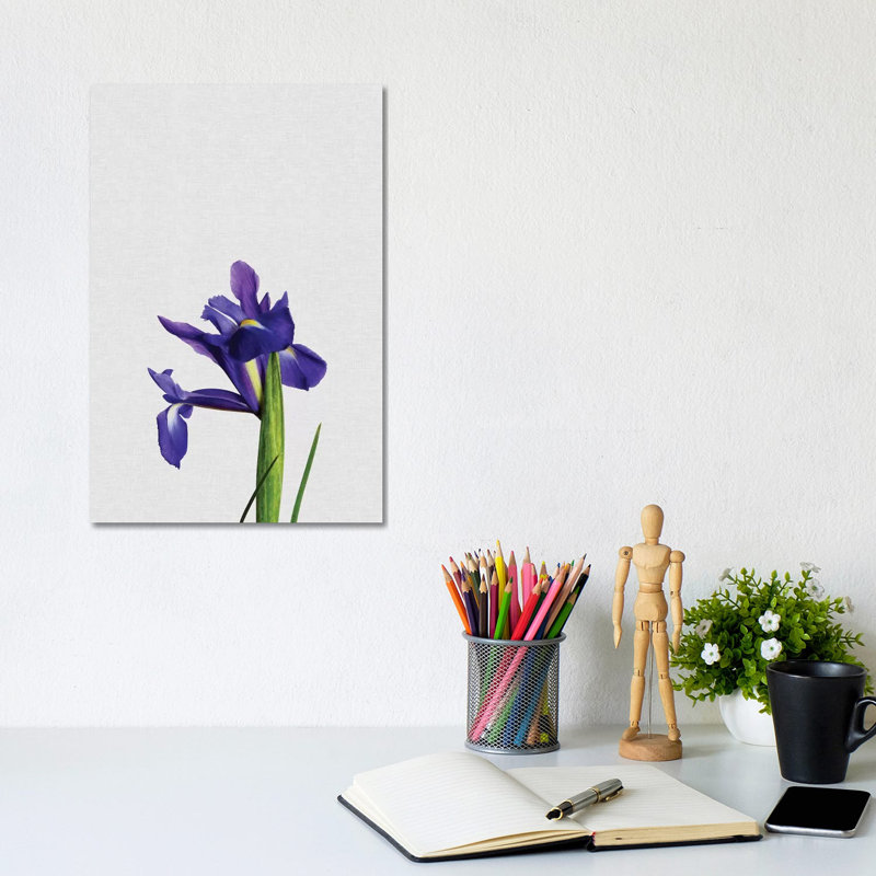 Iris - Wrapped Canvas Print, 20.32 cm H x 30.48 cm W
