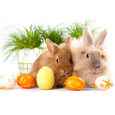 " Bunnies With Easter Eggs "