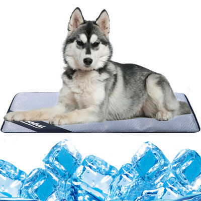 Polyester Pet Bed