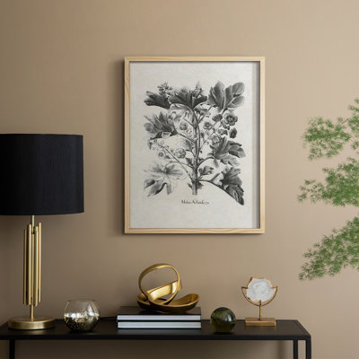 Reproduction florale vintage encadrée «Cccxxxi» - bois massif