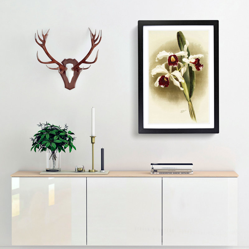 Magnolia Flowers Illustration Tab. 25 by Frederick Sander - Picture Frame Painting Print, 60cm H x 40cm W x 2cm D, Black