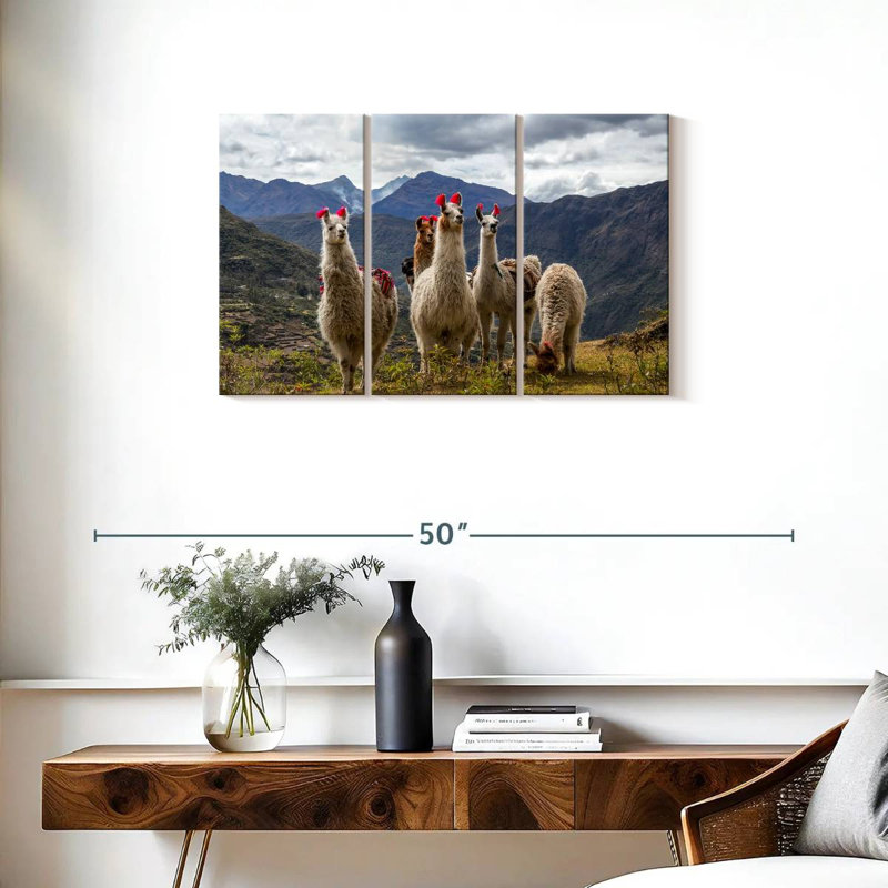 Lares Llamas, H 20 po x l 33 po