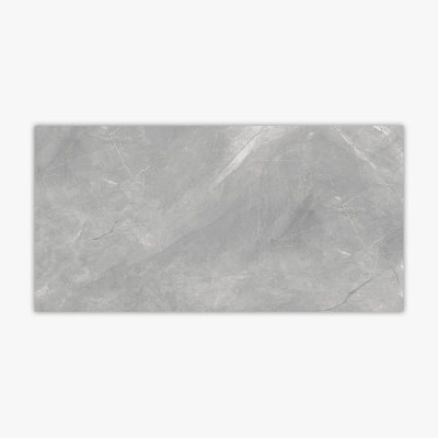 Carreau de mur et de plancher en porcelaine 24 po x 48 po