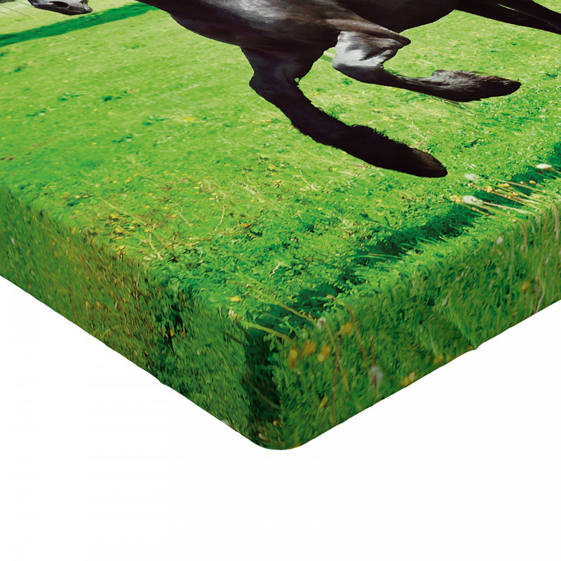 Drap-housse en chevaux, Drap-housse grand
