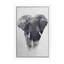 Elephant by Andreas Lie - Floater Frame Print on Canvas-2080501493-2080501495