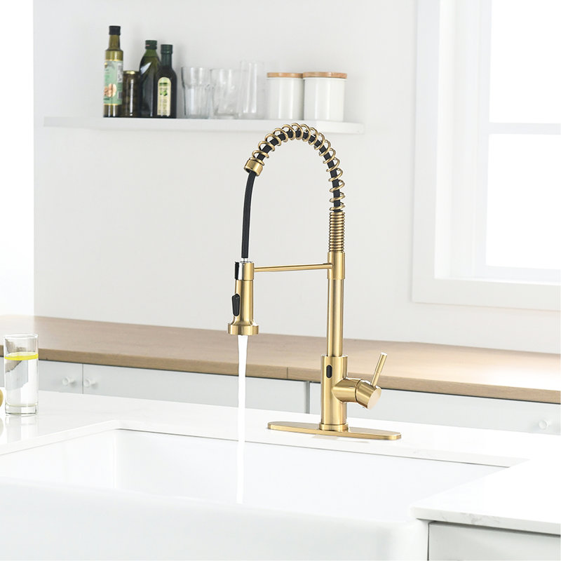 Robinet de cuisine Touchless