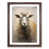 Walnut Framed selected