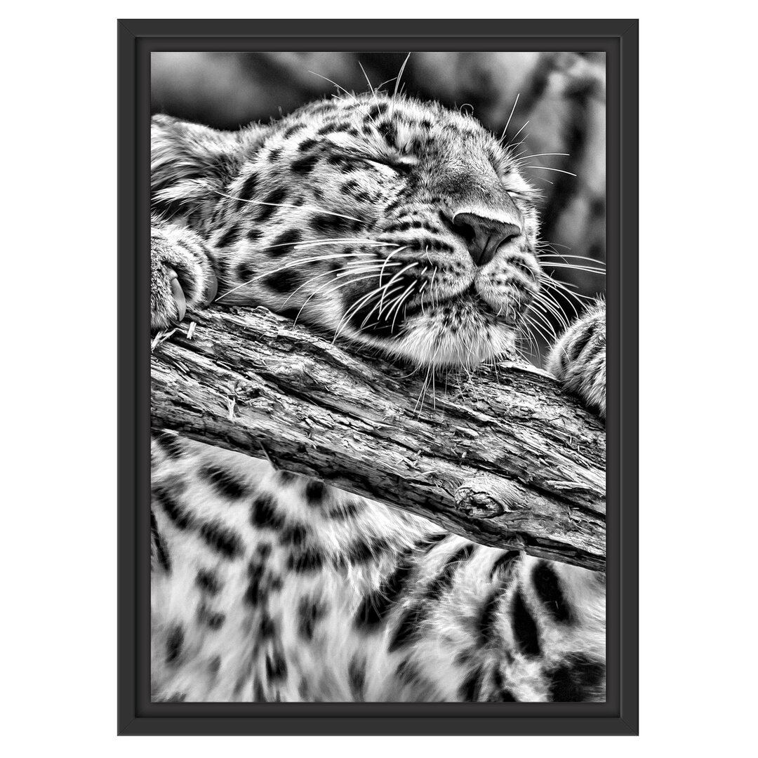 Gerahmtes Wandbild verspielter Leopard