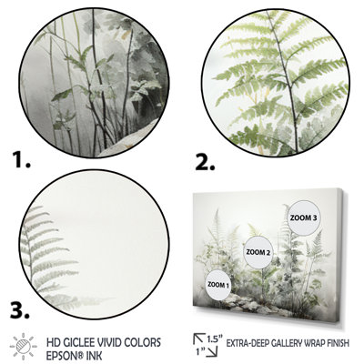 Ferns Silver Whispers I - Print