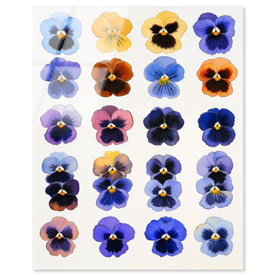 «Pansy Patch Grid IV», reproduction d'art acrylique sur toile par Art Remedy