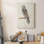Canada Owl - impression sur toile tendue-1778319960