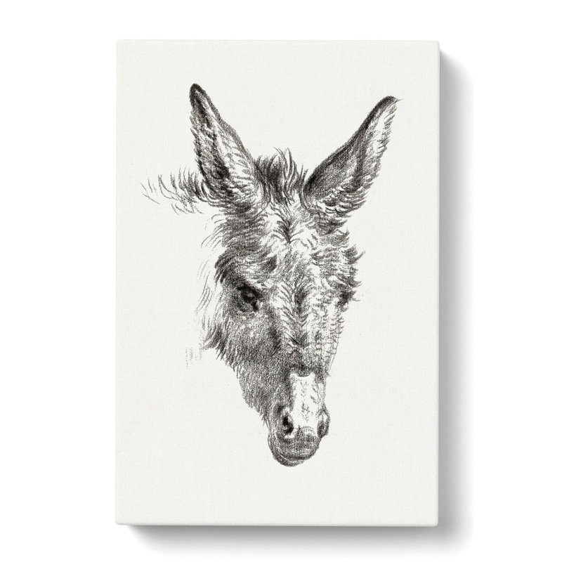 The Sketch Of A Donkey by Jean Bernard - Wrapped Canvas Print, 76cm H x 50cm W x 3cm D