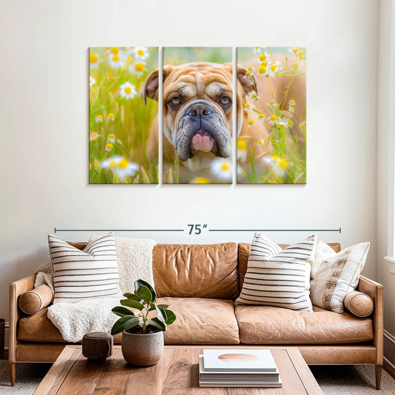Bouledogue anglais Brampt jouant, H 36 po x l 57 po