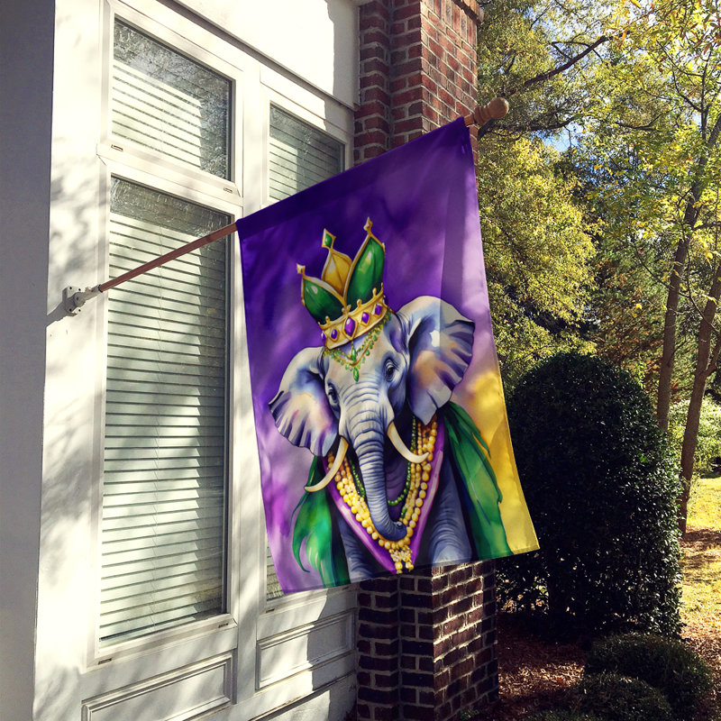 Double Sided 40'' H x 28'' W Polyester Mardi Gras House Flag