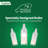 Tupkee Christmas Twinkle Icicle Lights - 12 Of 100 Bulbs Twinkle - 5.5 Feet Light String - 100 Incandescent Clear Bulbs - Indoor Outdoor - Random Shimmering Twinkling Sparkling Christmas Icicle Lights-118910718