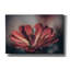 Toile épique Graffiti «Elevation Bloom» par Nathan Larson, 60 po x 40 po
