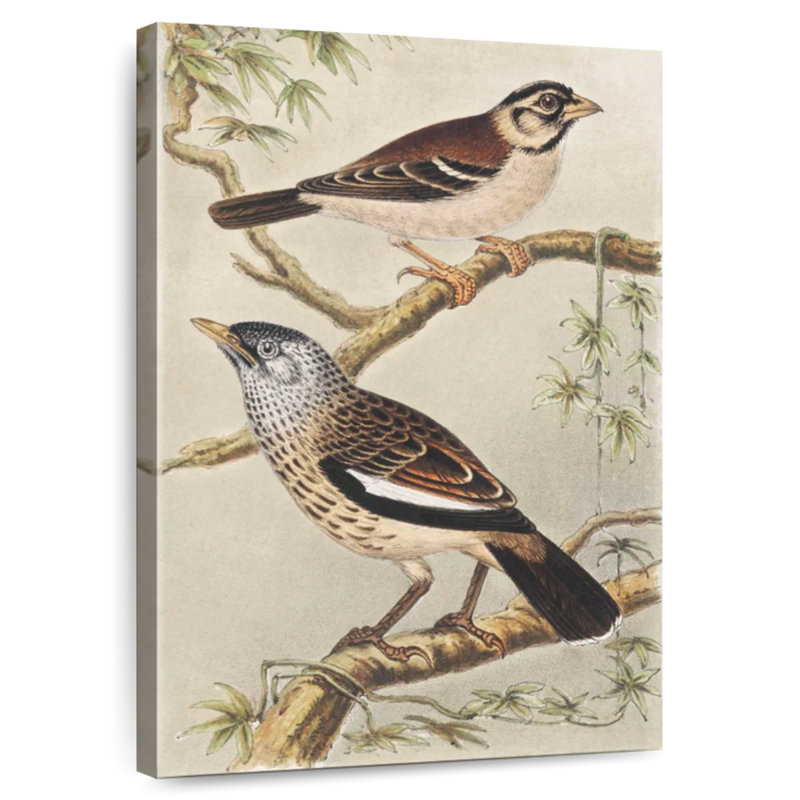 Brampt Twee Vogels Op Takken, 45" H x 30" W