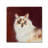 Pat Saunders " Capturing Eyes " by Pat Saunders-White-21651520