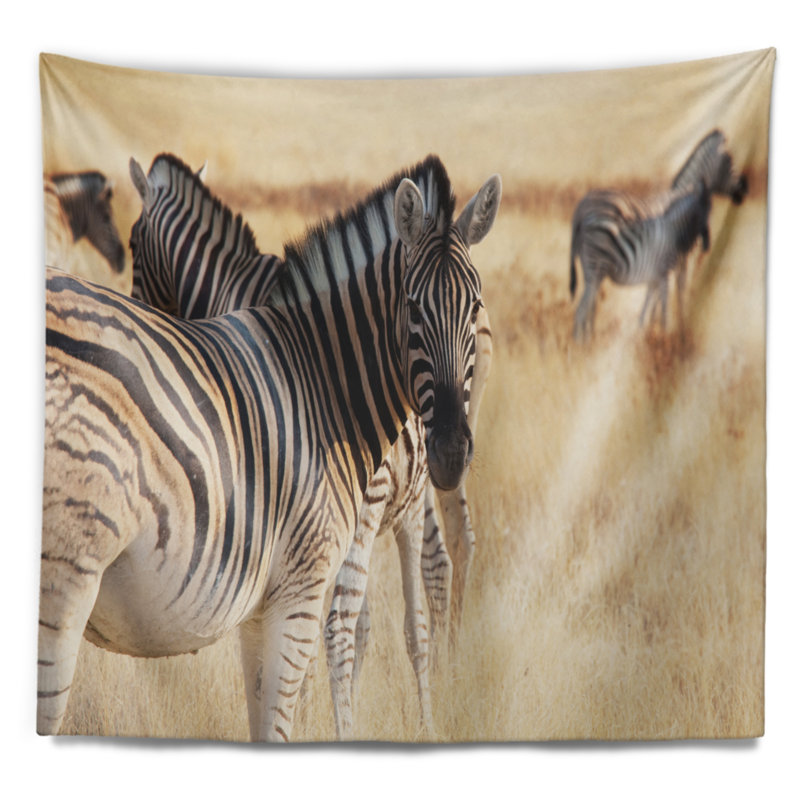 Zèbre africain à Etosha se promenant dans la tapisserie d'herbe, H 68 po x l 80 po