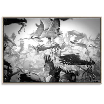 Photographers Lane - Wrapped Canvas Print
