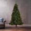 Arbres de noël