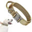 Collier de clôture électrique statique-122989531