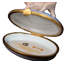 Dogs Handmade Ceramic Decorative Box
