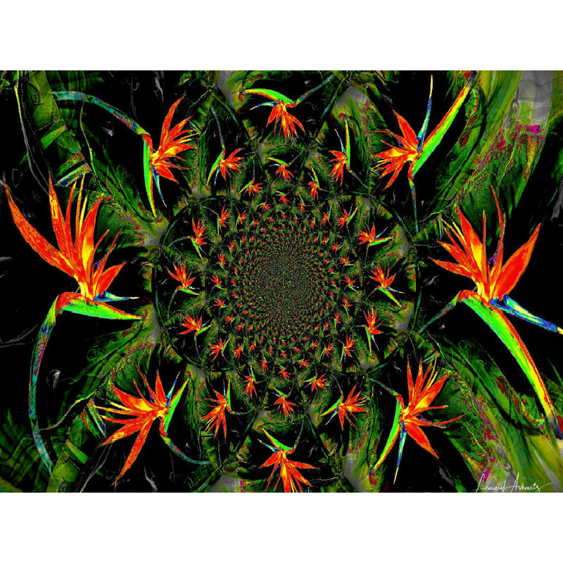 Bird Of Paradise Print by Leonard Askowitz