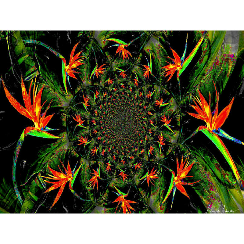 Bird of Paradise Framed Print