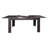 Dishad Extendable Dining Table-353956684
