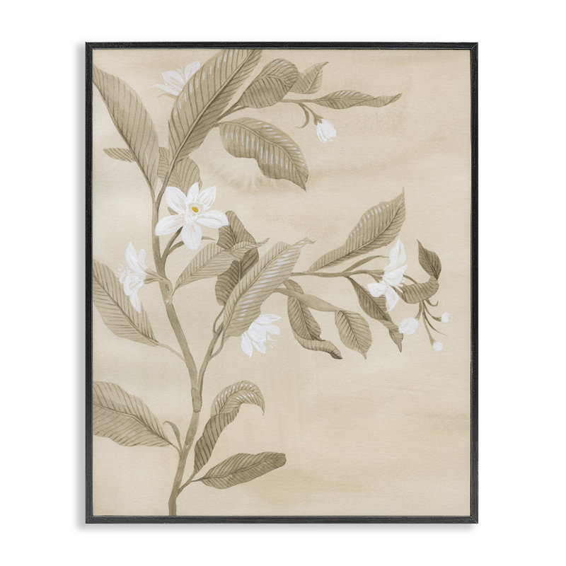  Jonquilles traditionnelles encadrées par Grace Popp, H 14 po x l 11 po, Giclée encadrée noir minuit
