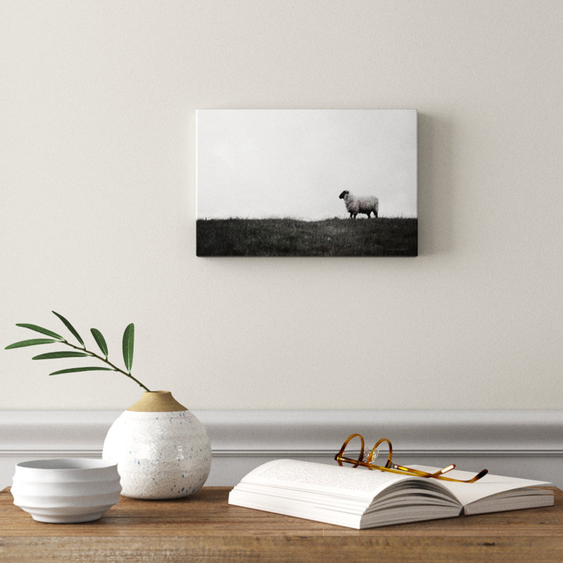Photographie « islay ovin ii », H 8 po x l 12 po x P 0,75 po, Toile tendue