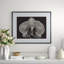 Black Orchid Print